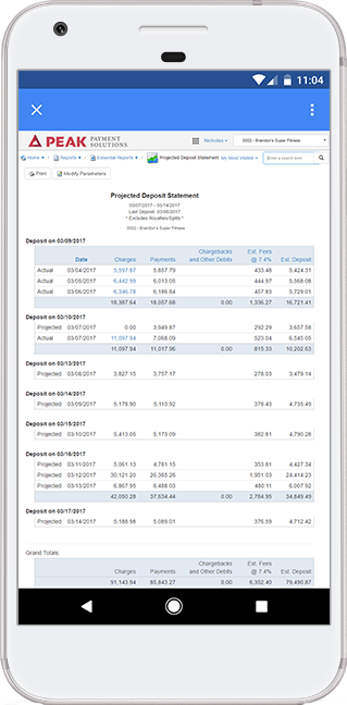 Projected Deposit Statements
